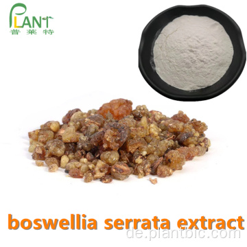 Boswellia Serrata Extraktpulver 65% 90% Boswelliasäure